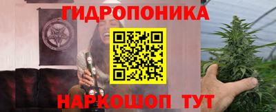 крисы Ачхой-Мартан
