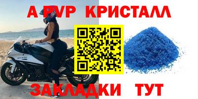apvp Аша